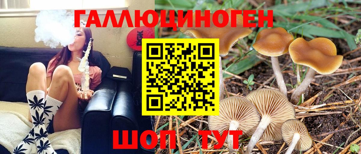 Ростов Великий  Галлюциногенные грибы мицелий  сколько стоит  Вход с VPN 