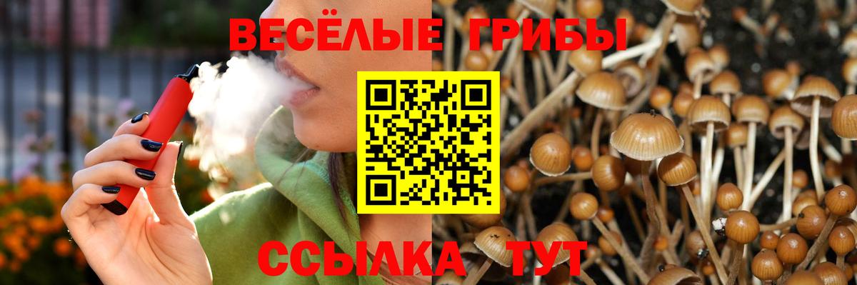 Псилоцибиновые грибы MAGIC MUSHROOMS Ростов Великий